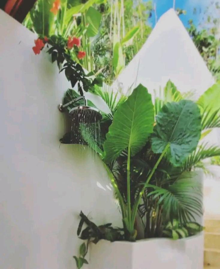 Nest Uluwatu - Eco Boutique Villa Экстерьер фото