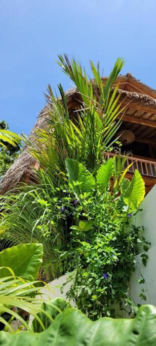 Nest Uluwatu - Eco Boutique Villa Экстерьер фото