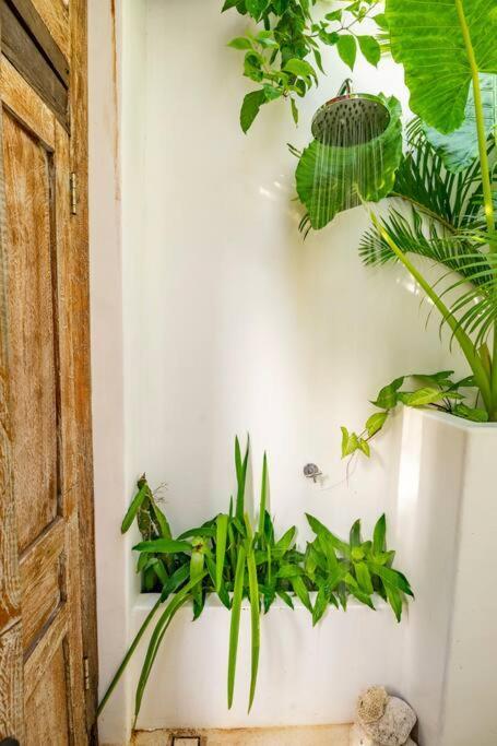Nest Uluwatu - Eco Boutique Villa Экстерьер фото