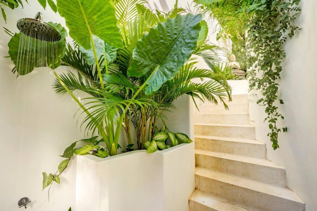 Nest Uluwatu - Eco Boutique Villa Экстерьер фото